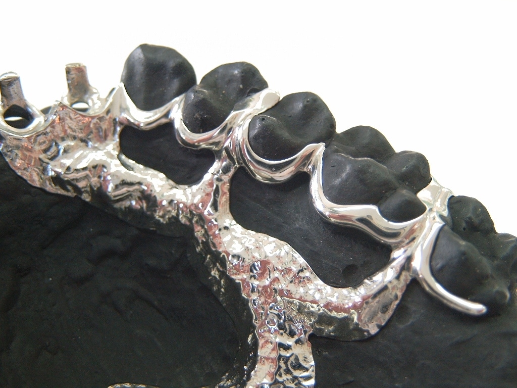 TRAVELER DIGITAL CAMERA